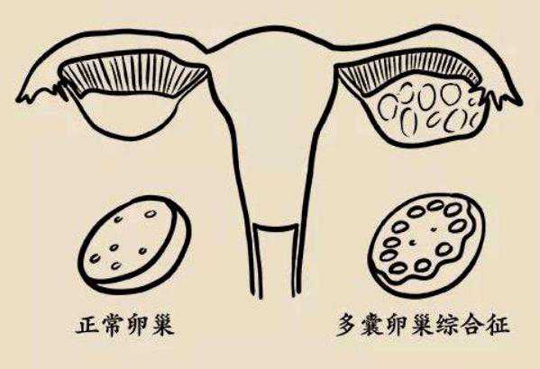 上海助孕生殖中心：供卵代怀与代生服务指南及医院地址