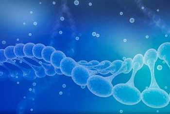 试管婴儿前期检查项目费用解析