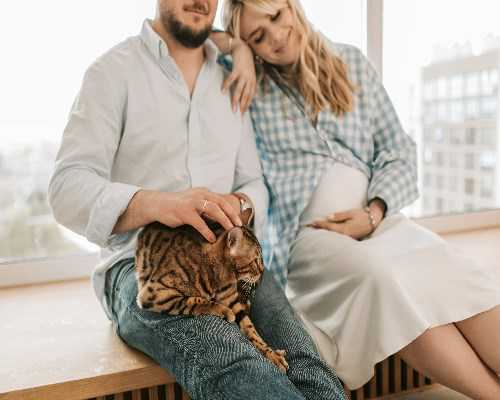 生育困境解析与现代助孕方案：卵巢功能、供卵试管及相关服务费用